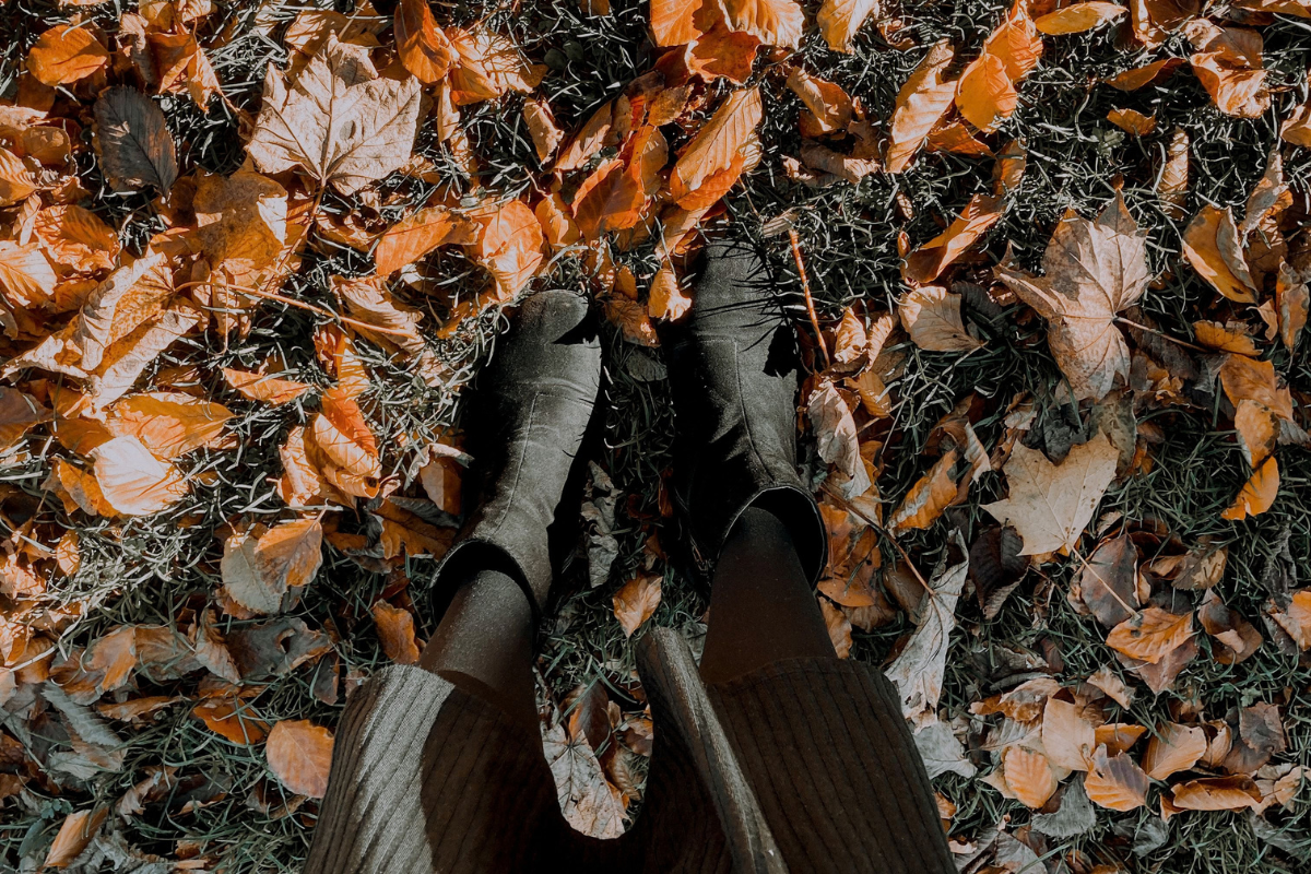A Fall Wellness Reset for the New Season
